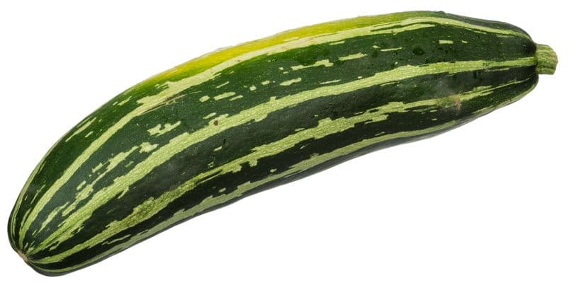 الكوسة